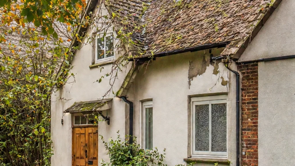 Damp Proofing Service in Surrey