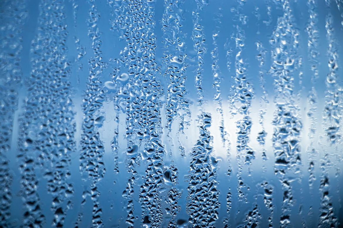How to prevent condensation and mould: practical tips for UK homes ...