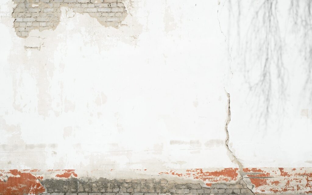 Is Condensation or Rising Damp to Blame? How to Tell the Difference in Surrey Homes Go2 Property Services